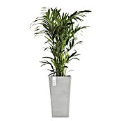 Ecopots Rotterdam Pflanzsäule eckig (Außenmaß (L x B x H): 31 x 31 x 56 cm, Kunststoff, Weiß, Grau) | BAUHAUS