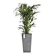 Ecopots Rotterdam Pflanzsäule eckig (Außenmaß (L x B x H): 31 x 31 x 56 cm, Kunststoff, Grau) | BAUHAUS