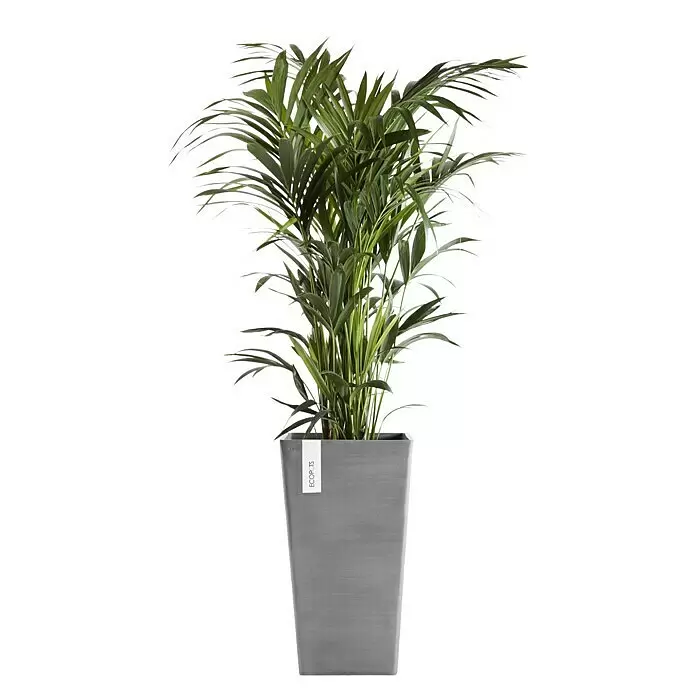 Ecopots Rotterdam Pflanzsäule eckig - Außenmaß (L x B x H): 30,5 x 30,5 x 50,5 cm, Kunststoff, Grau - Grüne Palmenpflanze in einem hohen, rechteckigen grauen ECOPOTS Pflanzgefäß.