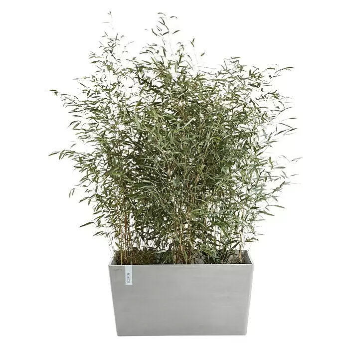 Ecopots Pflanzkasten ParisAußenmaß (L x B x H): 80 x 38 x 40 cm, Kunststoff, Weißgrau