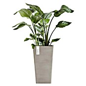 Ecopots Rotterdam Pflanzsäule eckig (Außenmaß (L x B x H): 31 x 31 x 56 cm, Kunststoff, Braungrau) | BAUHAUS