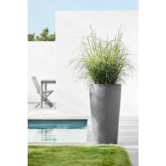 Ecopots Amsterdam Pflanzsäule rund High - Außenmaß (Ø x H): 49,8 x 91 cm, Kunststoff, Grau - Eine elegante, graue Pflanzsäule mit üppigem Grün, die eine moderne Gartengestaltung mit minimalistischem Design und natürlicher Schönheit vereint.