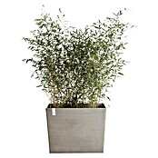 Ecopots Pflanzkasten Paris (Außenmaß (L x B x H): 85 x 40 x 65 cm, Kunststoff, Braungrau, Ausstattung Pflanzgefäß: Rollen) | BAUHAUS