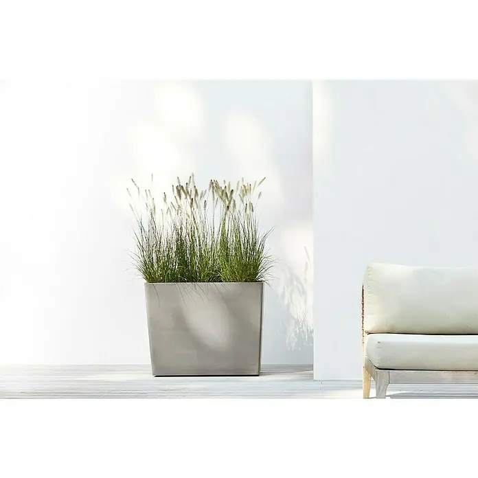 Ecopots Pflanzkasten Paris - Außenmaß (L x B x H): 85,2 x 39,5 x 65,8 cm, Kunststoff, Braungrau, Ausstattung Pflanzgefäß: Rollen - Ein großer, quadratischer Pflanzkübel aus grauem Stein mit hochwachsendem Gras, neben einem hellen Sessel vor einer weißen Wand. Zeitgenössisches Design.