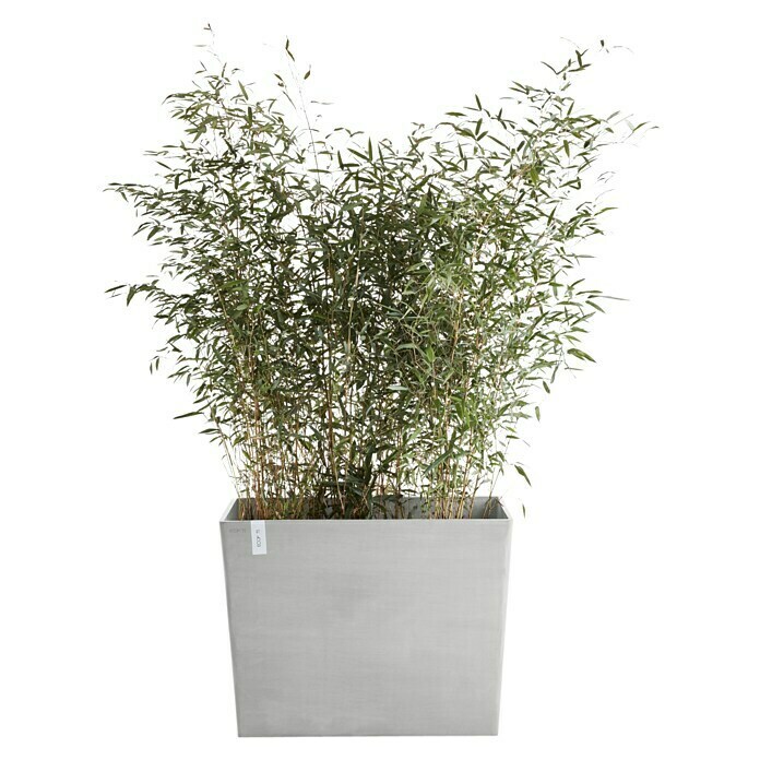 Ecopots Pflanzkasten Paris (Außenmaß (L x B x H): 85 x 40 x 65 cm, Kunststoff, Weißgrau, Ausstattung Pflanzgefäß: Rollen) | BAUHAUS