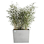 Ecopots Pflanzkasten Paris (Außenmaß (L x B x H): 85 x 40 x 65 cm, Kunststoff, Weißgrau, Ausstattung Pflanzgefäß: Rollen) | BAUHAUS