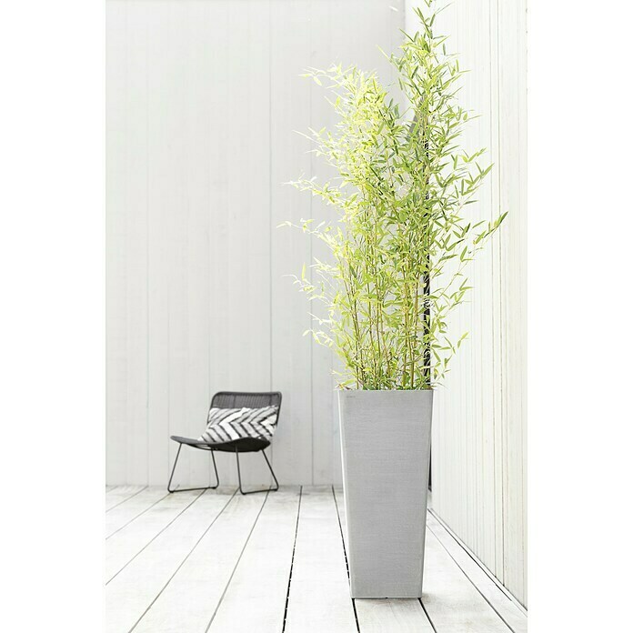 Ecopots Rotterdam Pflanzsäule eckig (Außenmaß (L x B x H): 32 x 32 x 70 cm, Kunststoff, Weiß, Grau) | BAUHAUS