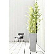 Ecopots Rotterdam Pflanzsäule eckig (Außenmaß (L x B x H): 32 x 32 x 70 cm, Kunststoff, Weiß, Grau) | BAUHAUS