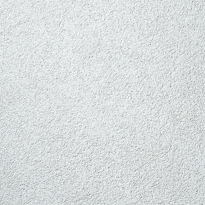 SG Weber Scheibenputz - Körnung: 1,5 mm, 25 kg - Nahaufnahme einer weißen, grob verputzten Wand, die eine gleichmäßige Textur und subtile Schattierungen aufweist. Ideal für Hintergründe.
