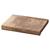 SAS Tessera Poolumrandung (50 x 35,5 x 6 cm, Bronze, Beton) | BAUHAUS