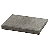 SAS Tessera Poolumrandung (50 x 35,5 x 6 cm, Anthrazit, Beton) | BAUHAUS