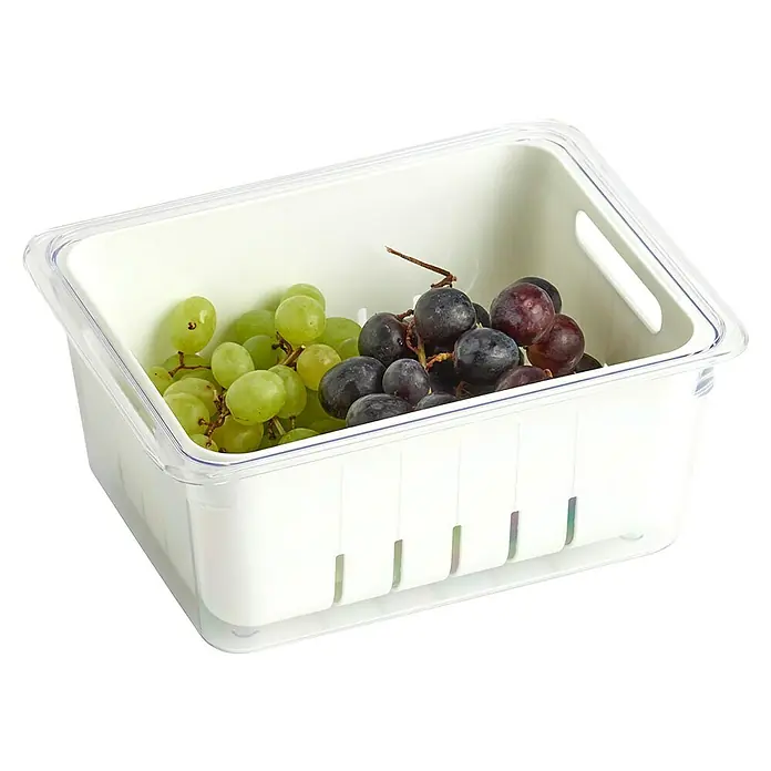 Zeller Present Kühlschrankorganizer - L x B x H: 10 x 22,5 x 17,5 cm, Kunststoff, Weiß - Eine Frischhaltebox mit grünen und blauen Trauben, ideal zur Aufbewahrung von Obst und Gemüse im Kühlschrank.
