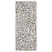 Feinsteinzeugfliese Terrazzo Ceppo XXL (119,7 x 279,7 cm, Silber, Glänzend) | BAUHAUS