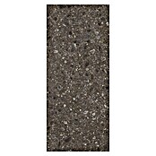 Feinsteinzeugfliese Terrazzo Ceppo XXL (119,7 x 279,7 cm, Schwarz, Glänzend) | BAUHAUS