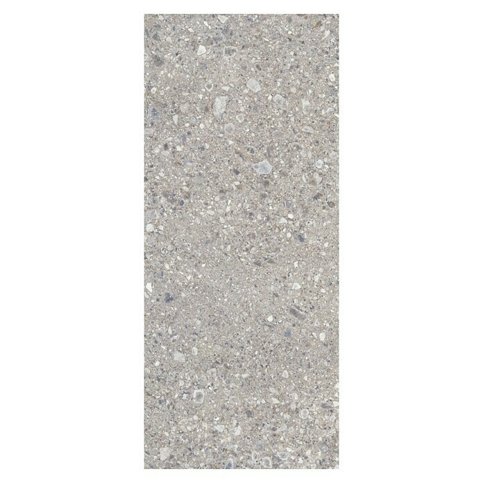 Feinsteinzeugfliese Terrazzo Ceppo XXL (119,7 x 279,7 cm, Silber, Matt) | BAUHAUS