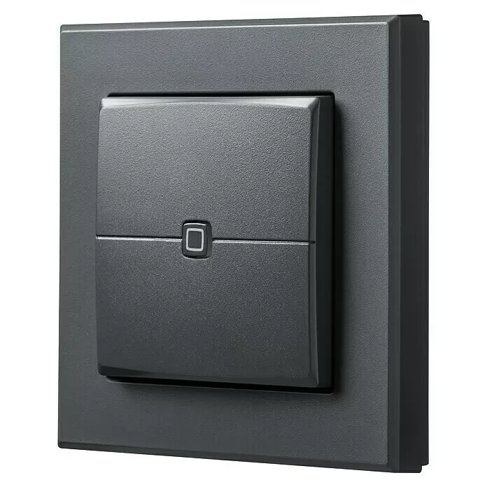 Homematic IP Funk-Wandtaster HmIP-WRC2-A2-fach, Batteriebetrieben, Anthrazit, 19 x 86 x 86 mm