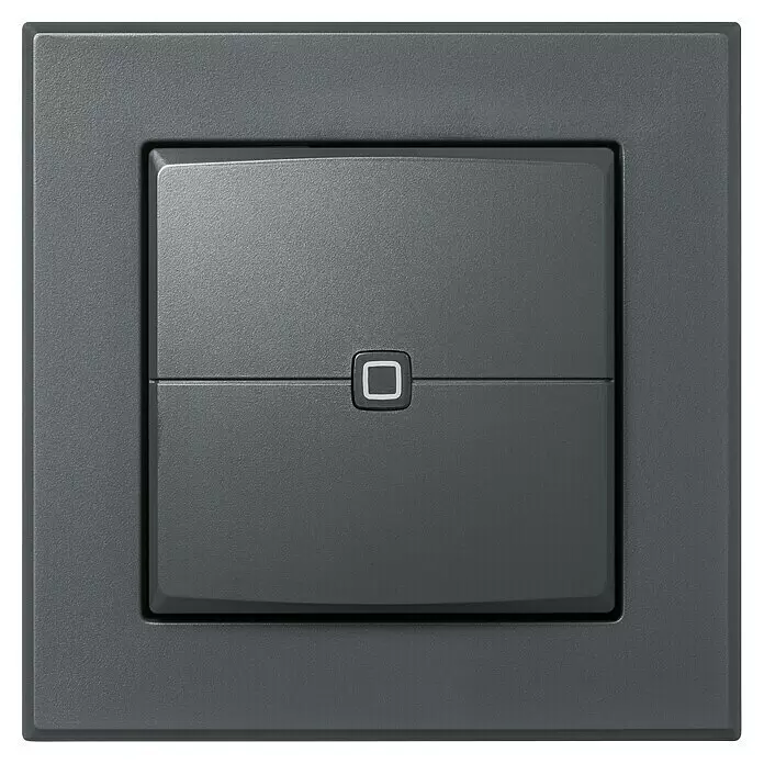 Homematic IP Funk-Wandtaster HmIP-WRC2-A2-fach, Batteriebetrieben, Anthrazit, 19 x 86 x 86 mm