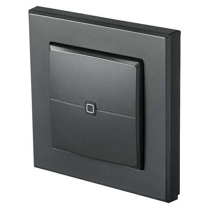 Homematic IP Funk-Wandtaster HmIP-WRC2-A2-fach, Batteriebetrieben, Anthrazit, 19 x 86 x 86 mm
