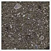 Feinsteinzeugfliese Terrazzo Ceppo (59,7 x 59,7 cm, Schwarz, Matt) | BAUHAUS