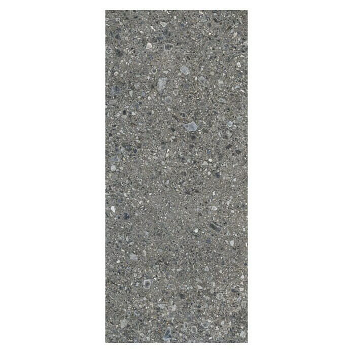 Feinsteinzeugfliese Terrazzo Ceppo XXL (119,7 x 279,7 cm, Graphit, Matt) | BAUHAUS