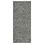 Feinsteinzeugfliese Terrazzo Ceppo XXL (119,7 x 279,7 cm, Graphit, Glänzend) | BAUHAUS