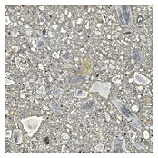 Feinsteinzeugfliese Terrazzo Ceppo (59,7 x 59,7 cm, Silber, Glänzend) | BAUHAUS