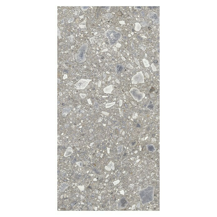 Feinsteinzeugfliese Terrazzo Ceppo (59,7 x 119,7 cm, Silber, Glänzend) | BAUHAUS