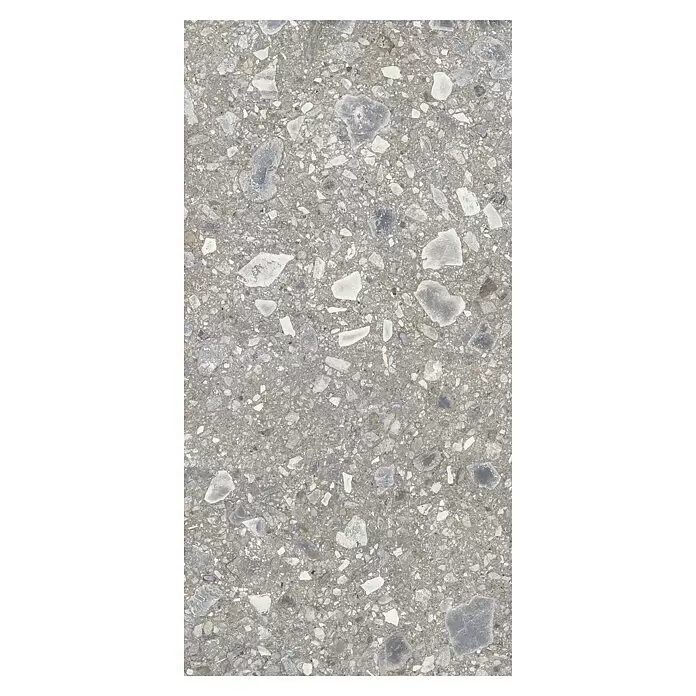 Feinsteinzeugfliese Terrazzo Ceppo - 59,7 x 119,7 cm, Silber, Glänzend - Draufsicht