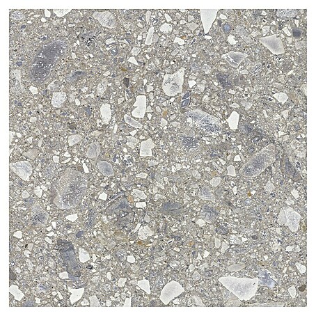 Feinsteinzeugfliese Terrazzo Ceppo (59,7 x 59,7 cm, Silber, Matt)