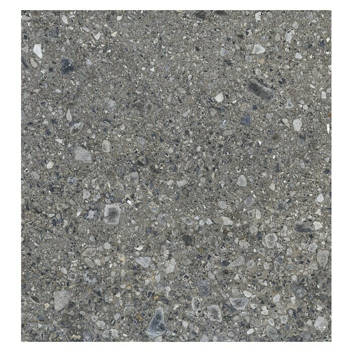 Feinsteinzeugfliese Terrazzo Ceppo (119,7 x 119,7 cm, Graphit, Matt) | BAUHAUS