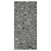 Feinsteinzeugfliese Terrazzo Ceppo (59,7 x 119,7 cm, Graphit, Glänzend) | BAUHAUS