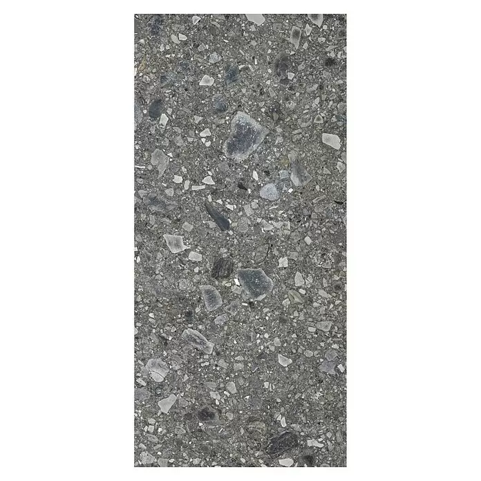 Feinsteinzeugfliese Terrazzo Ceppo - 59,7 x 119,7 cm, Graphit, Glänzend - Draufsicht