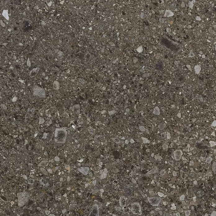 Feinsteinzeugfliese Terrazzo Ceppo119,7 x 119,7 cm, Schwarz, Matt