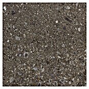 Feinsteinzeugfliese Terrazzo Ceppo (119,7 x 119,7 cm, Schwarz, Glänzend) | BAUHAUS