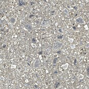 Feinsteinzeugfliese Terrazzo Ceppo (119,7 x 119,7 cm, Silber, Matt) | BAUHAUS