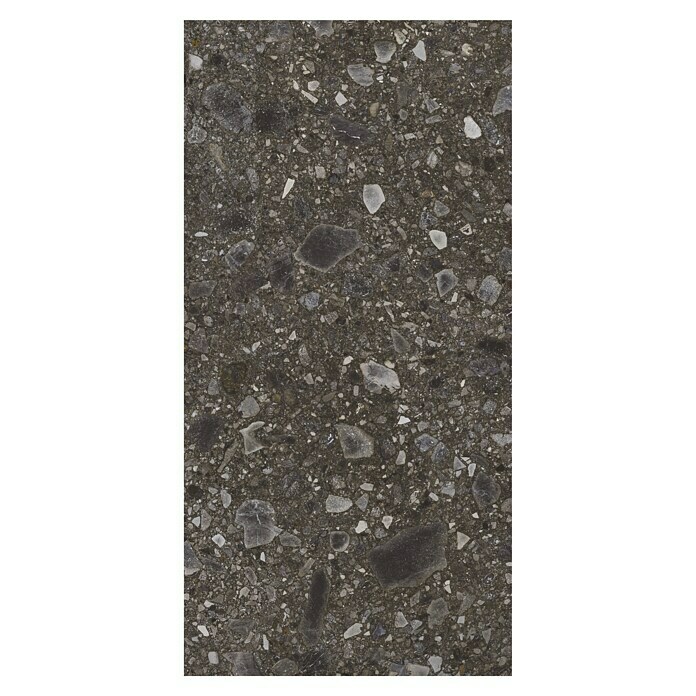 Feinsteinzeugfliese Terrazzo Ceppo (59,7 x 119,7 cm, Schwarz, Matt) | BAUHAUS