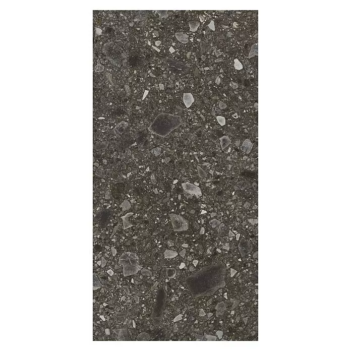 Feinsteinzeugfliese Terrazzo Ceppo - 59,7 x 119,7 cm, Schwarz, Matt - Draufsicht