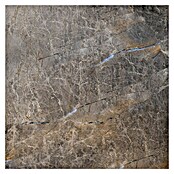 Feinsteinzeugfliese (60 x 60 cm, Braun, Poliert)