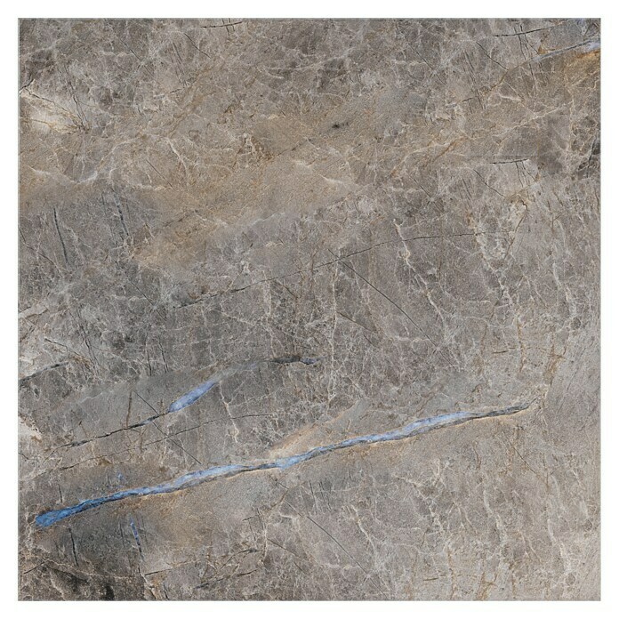 Feinsteinzeugfliese (60 x 60 cm, Braun, Poliert)