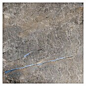 Feinsteinzeugfliese (60 x 60 cm, Braun, Poliert)