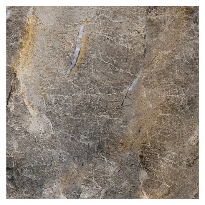 Feinsteinzeugfliese (60 x 60 cm, Braun, Poliert)