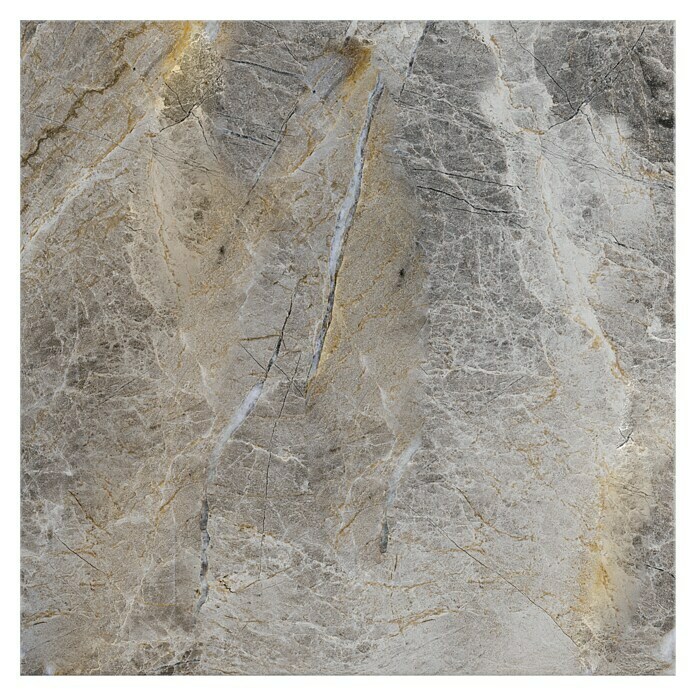 Granitogresne ploščice Etienne  (60 x 60 cm, Siva, Sijaj) | 4240 - Natursteinoptik | EAFA - Bodenfliesen | EAF - Fliesen | EA - Fliesen | E - Fliesen | BAUHAUS