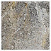 Granitogresne ploščice Etienne  (60 x 60 cm, Siva, Sijaj) | 4240 - Natursteinoptik | EAFA - Bodenfliesen | EAF - Fliesen | EA - Fliesen | E - Fliesen | BAUHAUS
