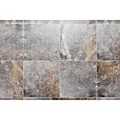 Granitogresne ploščice Etienne  (60 x 60 cm, Siva, Sijaj) | 4240 - Natursteinoptik | EAFA - Bodenfliesen | EAF - Fliesen | EA - Fliesen | E - Fliesen | BAUHAUS