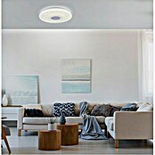 Just Light LED-Deckenleuchte rund PELVO (22 W, Ø x H: 40 x 7,9 cm, Weiß, Mehrfarbig) | BAUHAUS