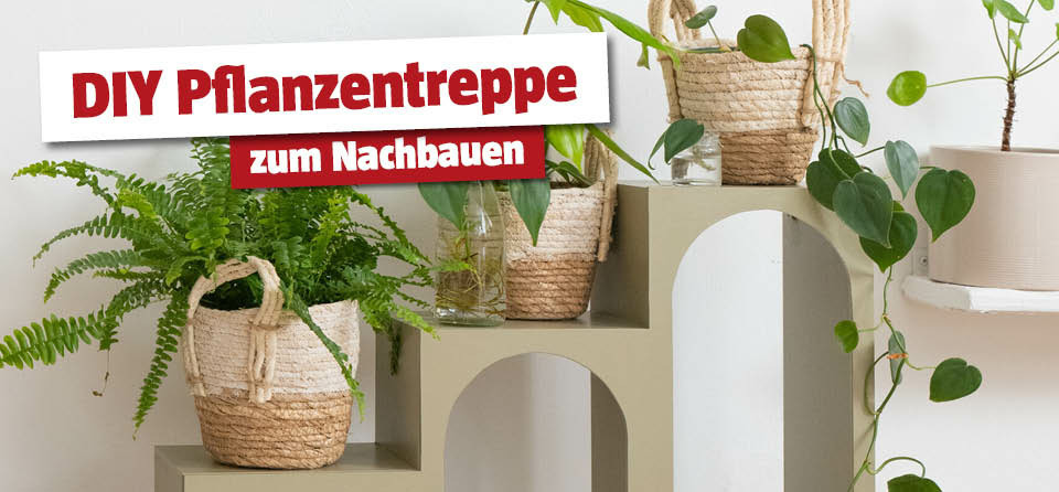 DIY Pflanzentreppe