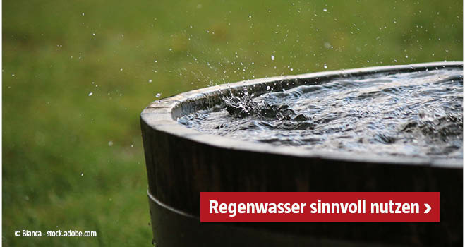 Teaser Regenwasser nutzen
