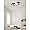 Trio Leuchten Burton Deckenstrahler (112 W, L x B x H: 18 x 71,5 x 19,5 cm, Schwarz-matt, E14, 4 Stk.) | BAUHAUS