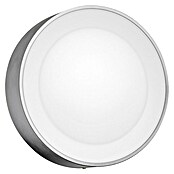 Philips Hue Led-wandlamp voor buiten (1 lampen, 15 W, Lichtkleur: RGBW, IP44, Zilver)