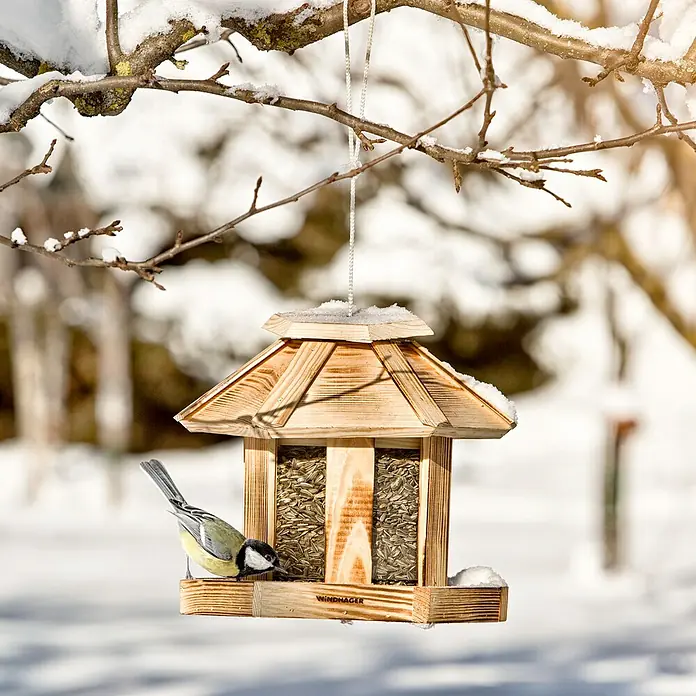 Windhager Vogelhaus - L x B x H: 26 x 26 x 24,5 cm, Natur, Geflammt, Holz - Ein Holzvogelhaus mit Samen, das an einem schneebedeckten Ast hängt, mit einer Meise, die davon frisst.